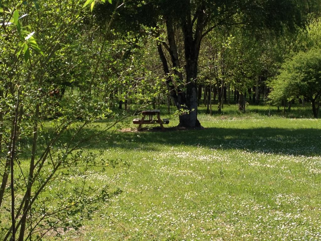 Bed and Breakfast La Marelle Avrille-les-Ponceaux Номер фото