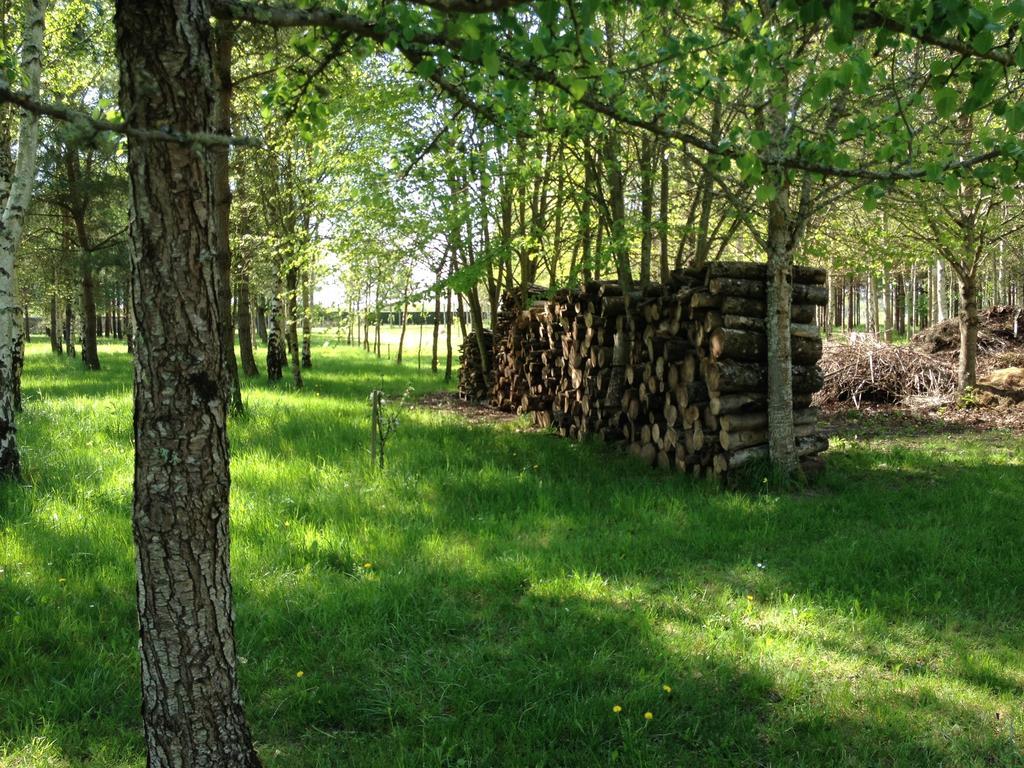 Bed and Breakfast La Marelle Avrille-les-Ponceaux Номер фото